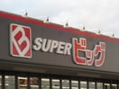 ザ・ビッグ郡山店(スーパー)まで450m シャ－メゾンシュシュⅠ
