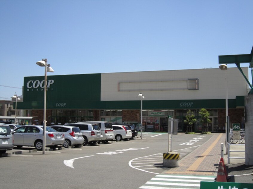 ＣＯＯＰ(スーパー)まで650m リエス榴岡公園