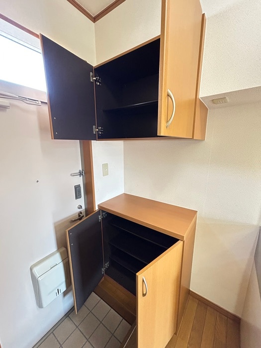 靴箱 ＡＬＴＥＣ　ＤＥＵＸ