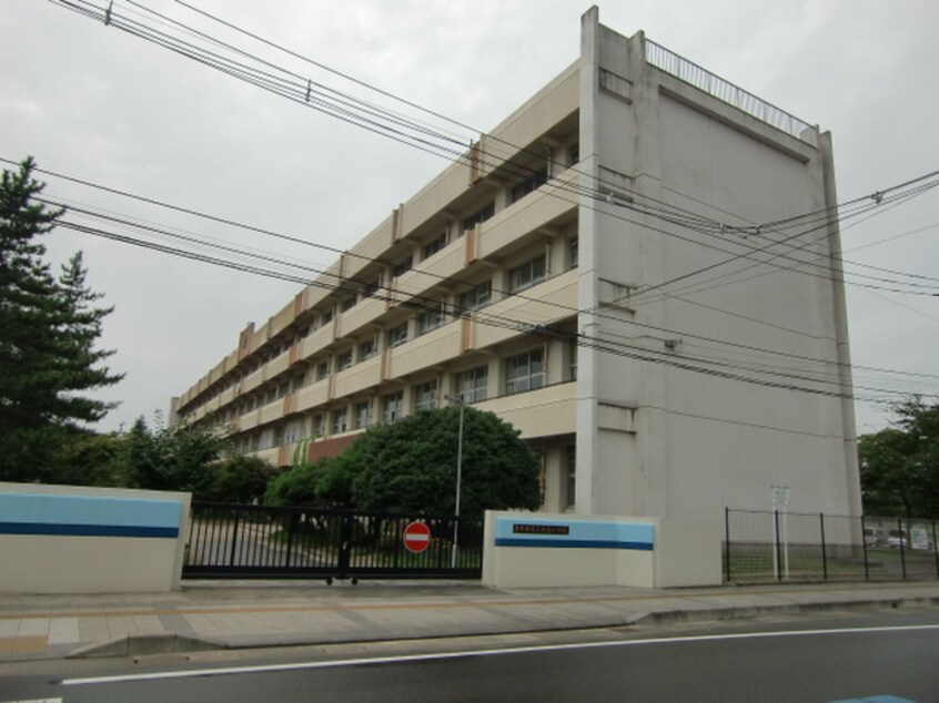 多賀城市立城南小学校(小学校)まで280m グリ－ンコ－ト城南Ｆ