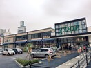 みやぎ生協　錦町店(スーパー)まで550m ゼルコウバ中山ハイツ花京院