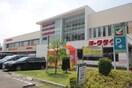 ヨークベニマルあすと長町店(スーパー)まで910m コーポ藤
