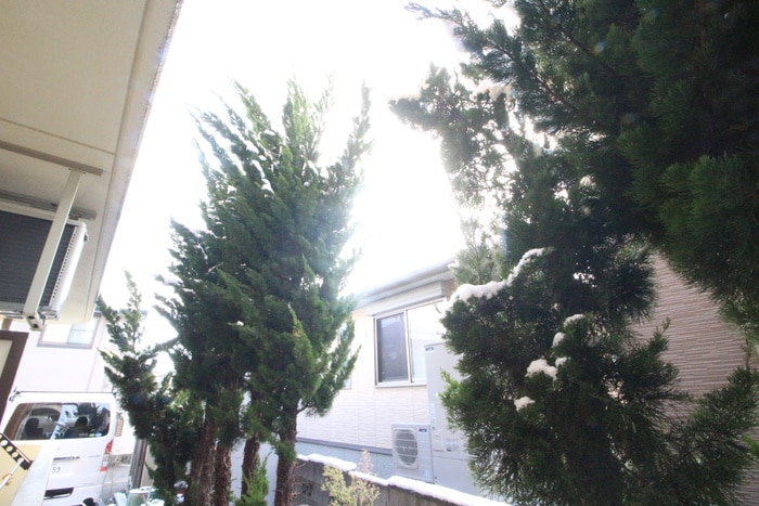 室内からの展望 アヴニール・カルティエ