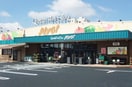 仙台原ノ町ピボット(スーパー)まで950m Ｌｉｂｒａ court苦竹
