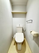 トイレ ﾀﾞｲｱﾊﾟﾚｽｸﾞﾗﾝﾃｰｼﾞ中央
