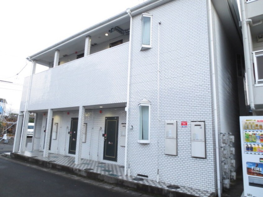 その他 シェルテッツァM