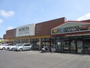 フレッシュフードモリヤ今泉店(スーパー)まで500m ルーナカーサＡ棟