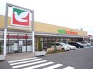ヨークベニマル　仙台小松島店(スーパー)まで250m スカイコート小松島A