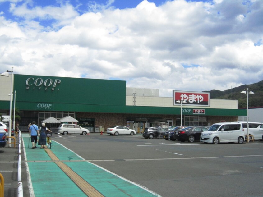 宮城生協愛子店(スーパー)まで1500m サンライズ館　Ｄ棟