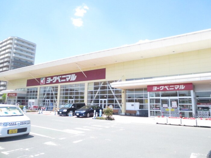 ヨークベニマル(スーパー)まで1360m リビングステージ東仙台