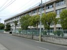 仙台市立沖野小学校(小学校)まで800m ＴレジデンスⅠ