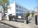 仙台市立中山小学校(小学校)まで670m シャンドフルール