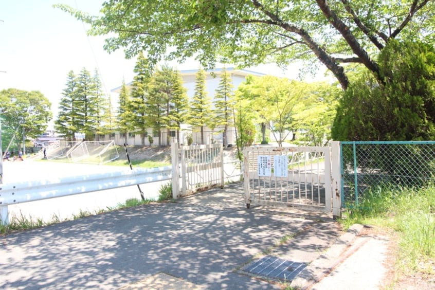 仙台市立台原中学校(中学校/中等教育学校)まで436m グレイスコートK