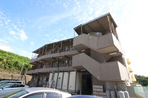 フリシャー向山