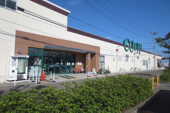 みやぎ生協(スーパー)まで197m パナホーム向田Ａ