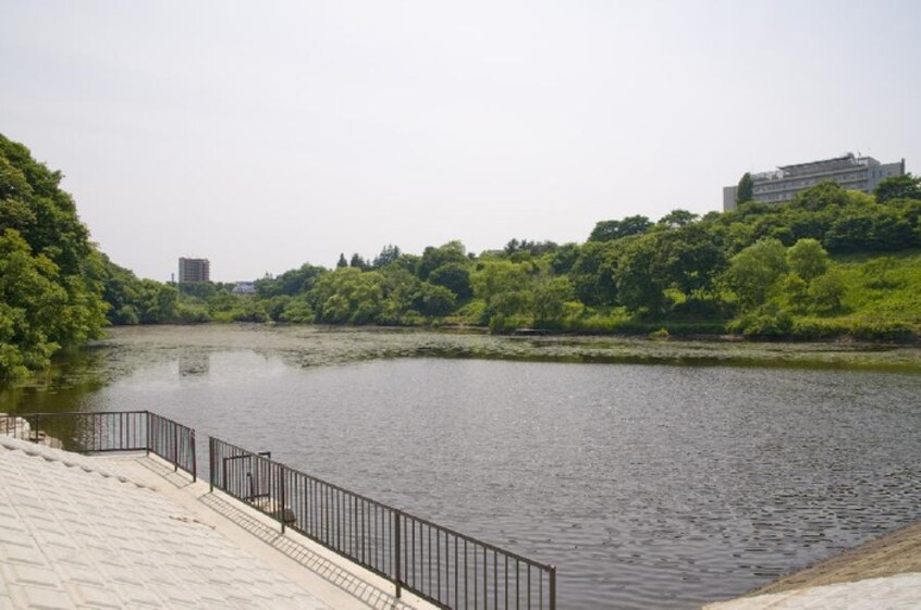 鶴ケ谷中央公園(公園)まで250m ファミール鶴ケ谷