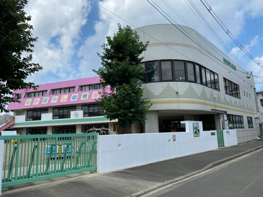 わかばやし幼稚園(幼稚園/保育園)まで350m パステルコートＫⅡ