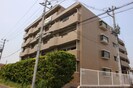 ダイアパレス泉崎(403)の外観