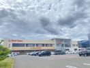 ヨークベニマル仙台あすと長町店(スーパー)まで700m プレミアムハウス郡山