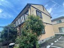 パインチグリスⅠの外観