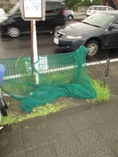 建物設備 パインチグリスⅡＡ