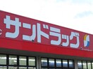 サンドラッグあすと長町店(ディスカウントショップ)まで350m 菱沼ビル