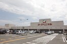 ヨークベニマル岩沼店(スーパー)まで2600m グレイス・ガーデンⅢ