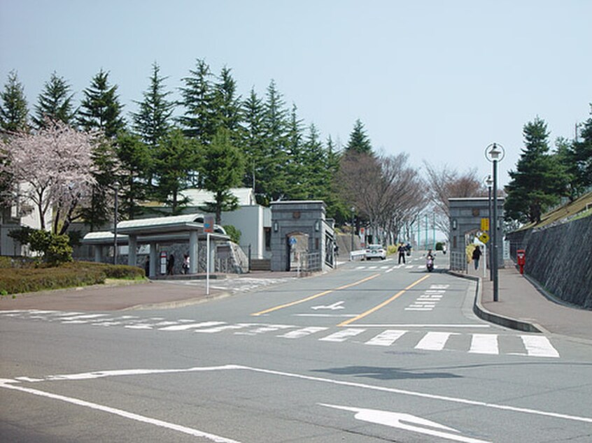 東北学院大学　泉キャンパス(大学/短大/専門学校)まで650m セントヒルズ仙台(A709)