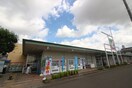 ヨークベニマル柳生店(スーパー)まで1500m ハーモニーテラス西中田Ⅲ