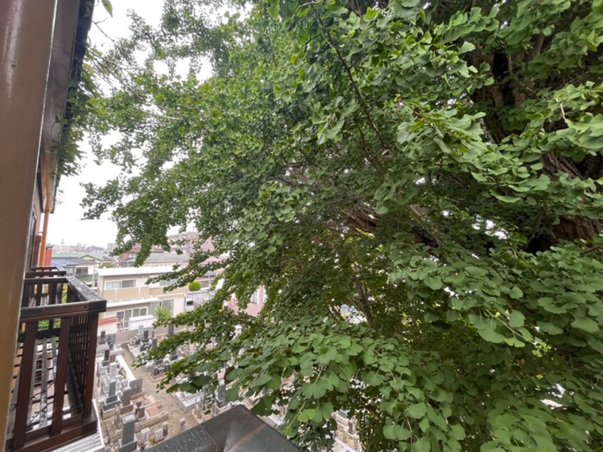 室内からの展望 オレンジハイツ