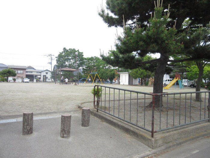 六丁の目中町公園(公園)まで320m 丸広ハイツ