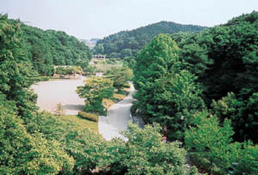 台原森林公園(公園)まで1000m ドリームハウス