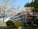 仙台市立遠見塚小学校(小学校)まで200m 伊藤ハイツ