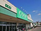 みやぎ生協 南小泉店(スーパー)まで450m ハーモニーテラス中倉Ⅱ