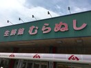 生鮮館むらぬし(スーパー)まで650m east mare