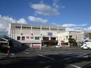 みやぎ生協　幸町店(スーパー)まで800m ＡＢＥＦＯＲＮＩＡ　ＤＪ