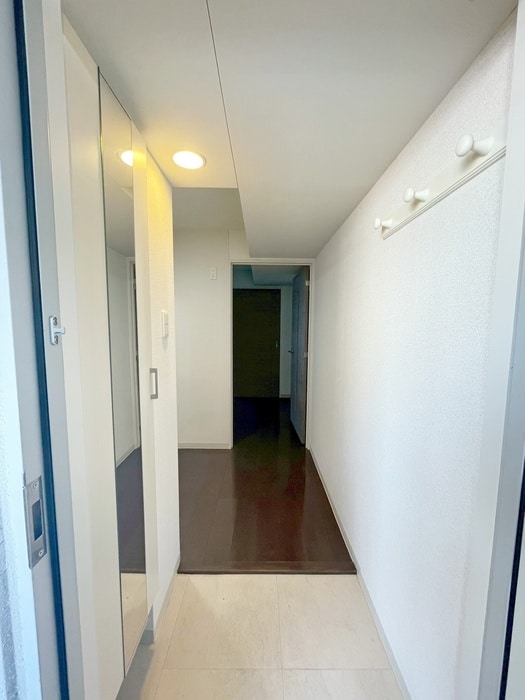 玄関 マルタマファイブリッジ