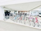 駐輪場 ロイヤルヒルズ大和町