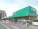みやぎ生協岩切店(スーパー)まで860m フォーリストレジデンスⅠ