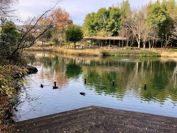 貝ケ森中央公園(公園)まで190m グレイス貝ヶ森