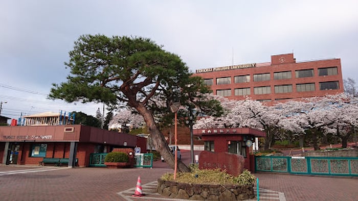 セブン-イレブン 仙台国見１丁目店(大学/短大/専門学校)まで1000m グレイス貝ヶ森