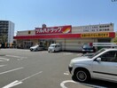 ツルハドラッグ 仙台長町4丁目店(ドラッグストア)まで600m ＯＫ　ハイム