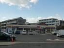 ミニストップ仙台泉七北田店(コンビニ)まで300m パークサイド