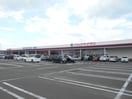 ヤマザワ荒井店(スーパー)まで700m ファミールふじ