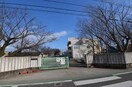 古城小学校(小学校)まで360m グリーンガーデンハイツ