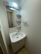 洗面 ラピスラズリ上杉