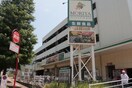 フレッシュフードモリヤ　旭ヶ丘店(スーパー)まで400m コーポジャストファイブ