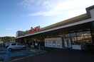 ヨークベニマル 仙台愛子店(スーパー)まで800m シュトラール壱番館