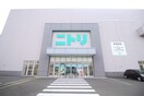 ニトリ(電気量販店/ホームセンター)まで1100m アスコット中野栄駅前