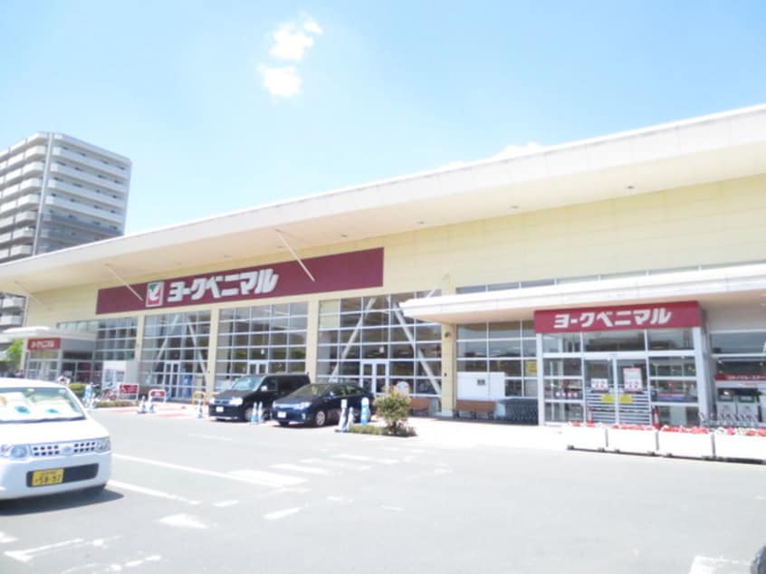 ヨークベニマル新田東店(スーパー)まで697m サンヴァ－リオ新田駅前Ⅰ